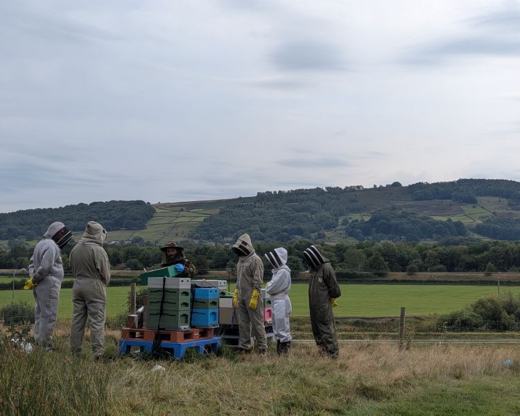 people on a beekeeping experience in yorkshire