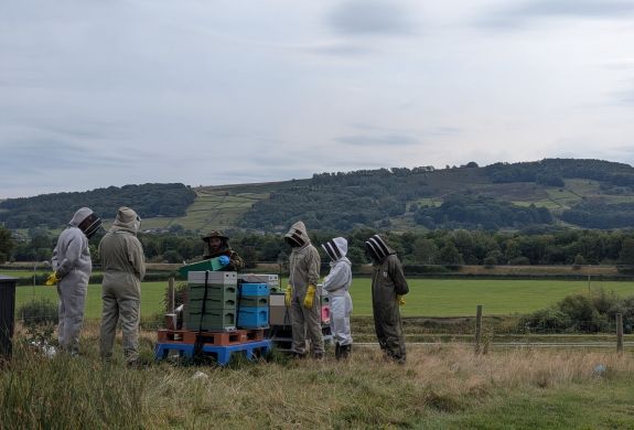 people on a beekeeping experience in yorkshire