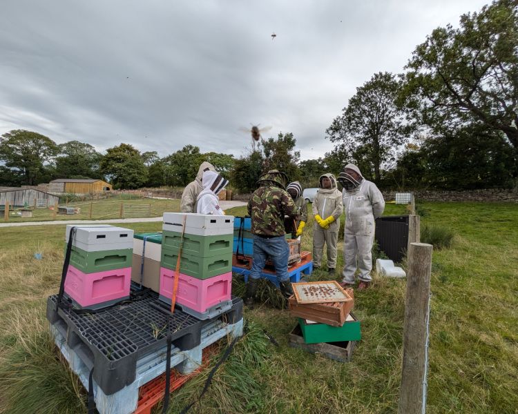 group learning on a beekeeping experience in yorkshire