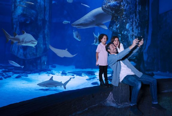 taking selfie infront of shark tank at sea life London