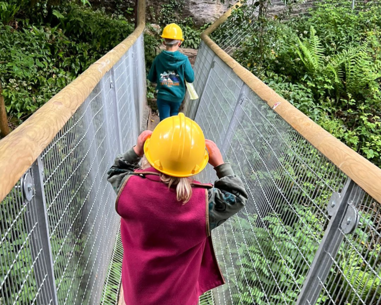 Bridge Crossing at How Stean Gorge