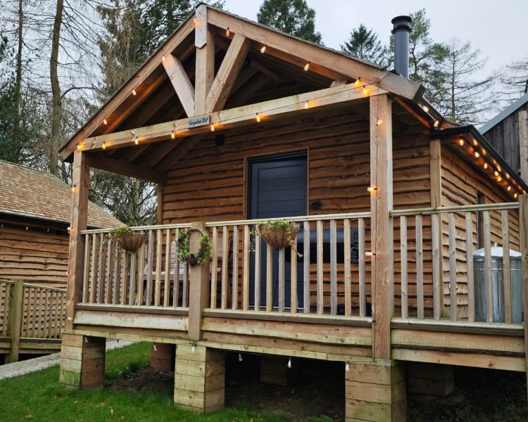 How stean cabin daylight