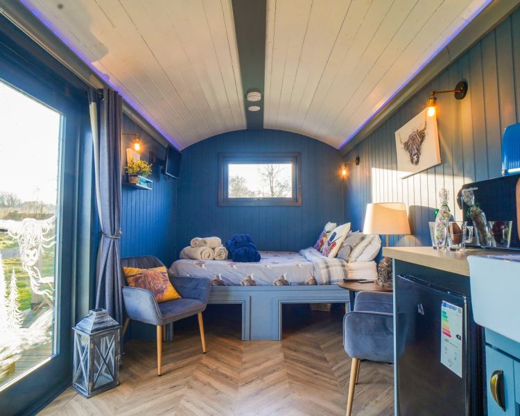 Highland cow shepherd hut interior