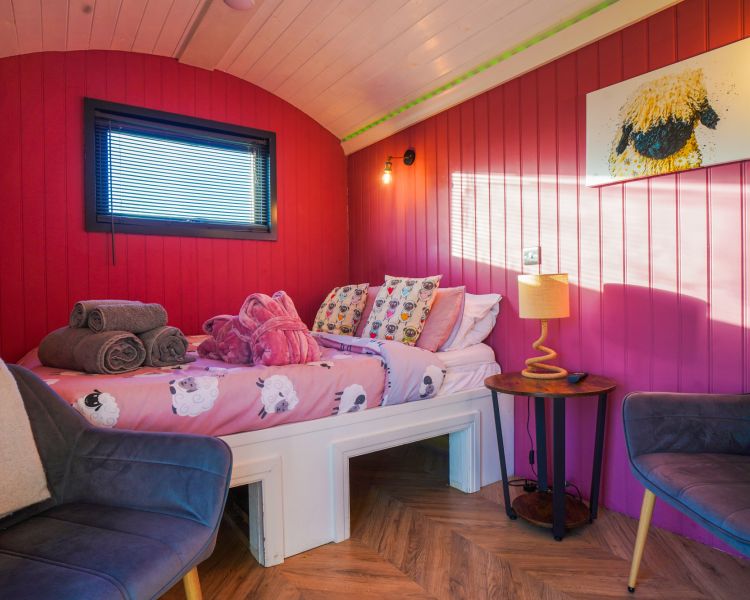 Sheep shepherd hut interior