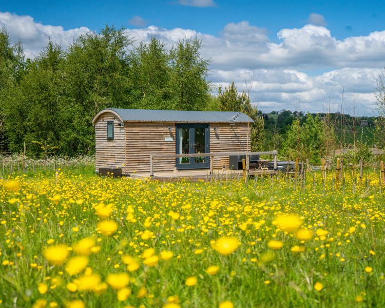 Exterior view shepherd hut and surrounding fields