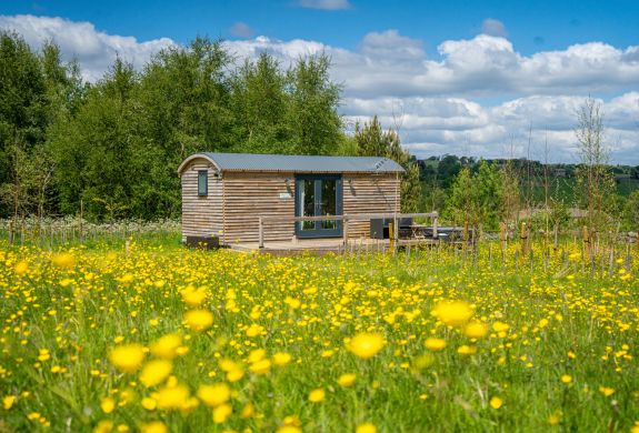 Exterior view shepherd hut and surrounding fields