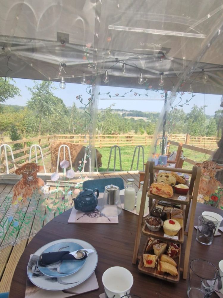 Highland Cow Elevenses Geodome Interior