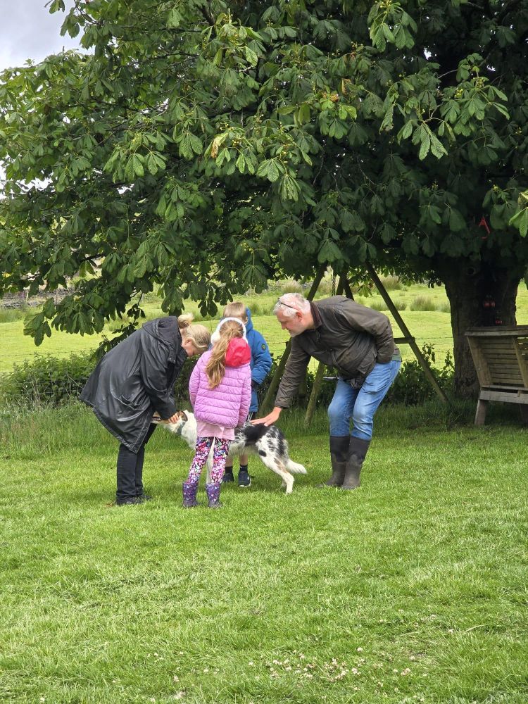 people meeting a sheepdog on a west yorkshire farm