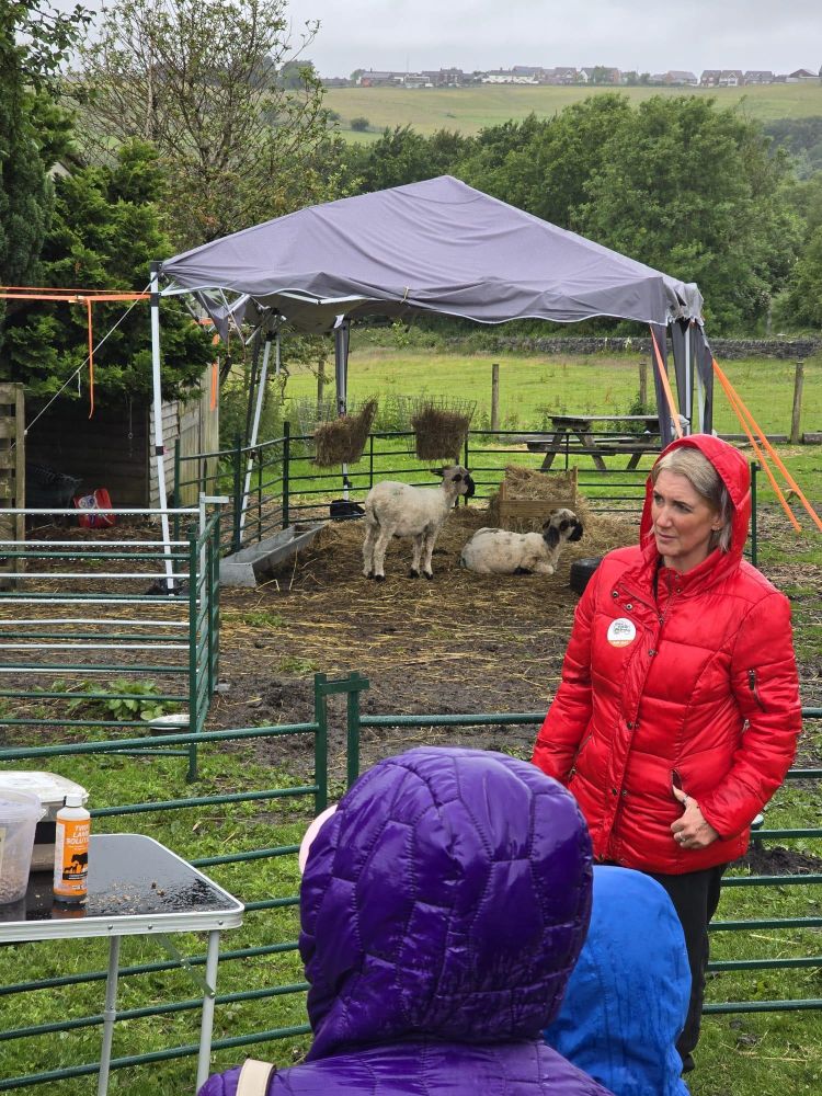 group watching sheep on a west yorkshire farm