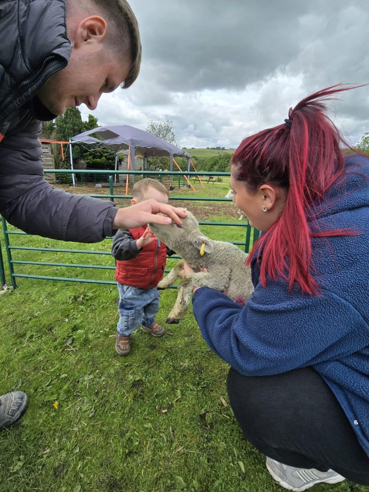 young family meeting the sheep on a west yorkshire farm
