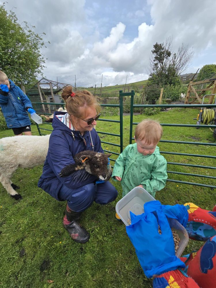 mum and young boy feeding sheep on a west yorkshire farm