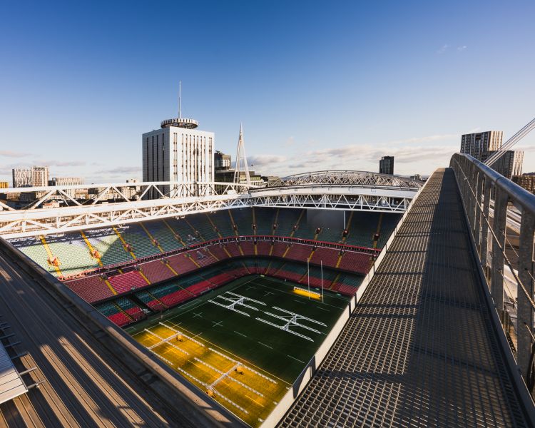 view of the pitch seen from roof on stadium walk at zip world cardiff