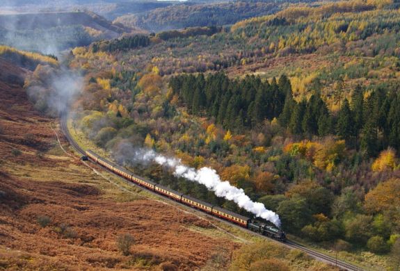 Wide view of a steam train through autumnal woodlands