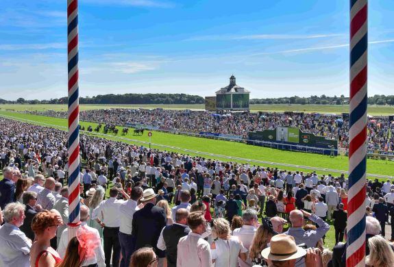 York racecourse live race