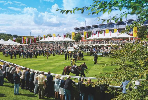 Goodwood crowd and horse jockie sunny day