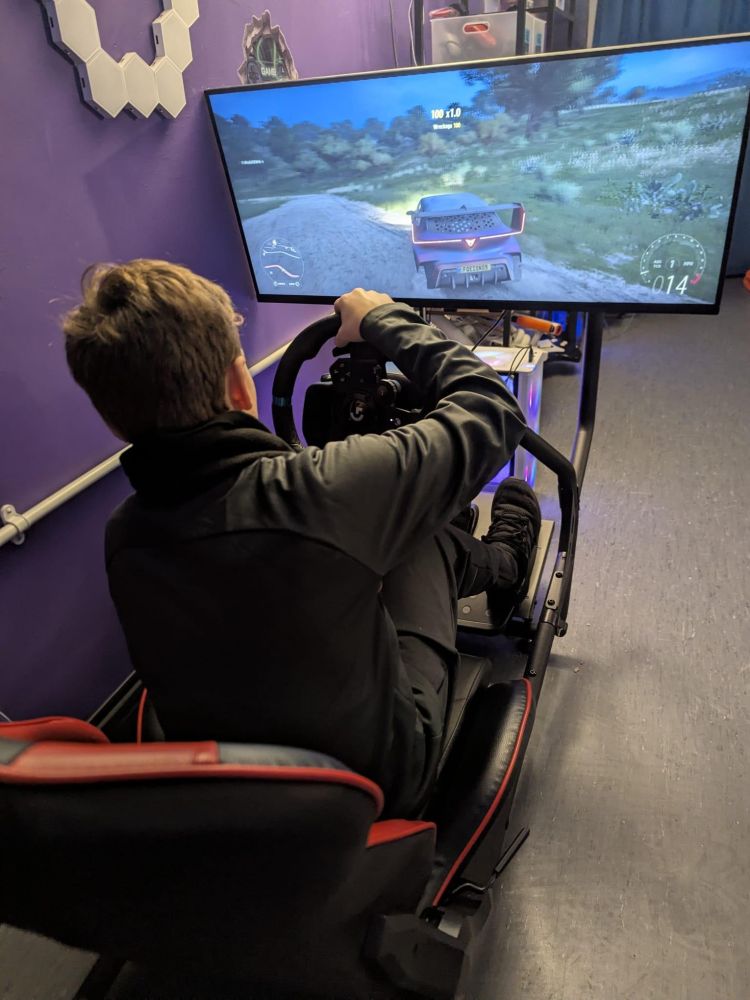 Gaming zone driving sim