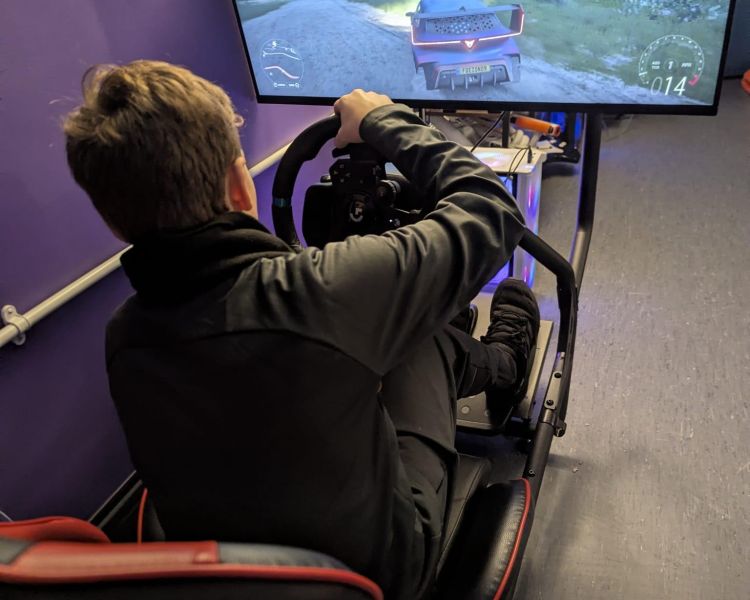 Gaming zone driving sim