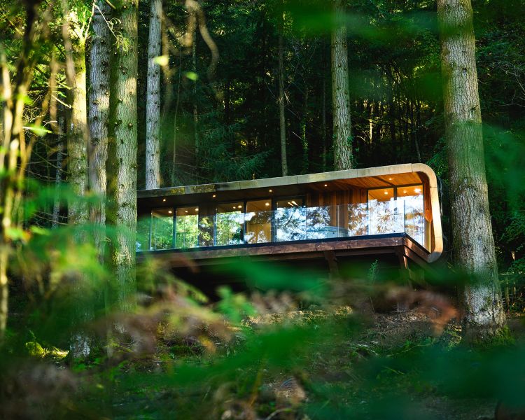 Forest lodge at zip world north wales