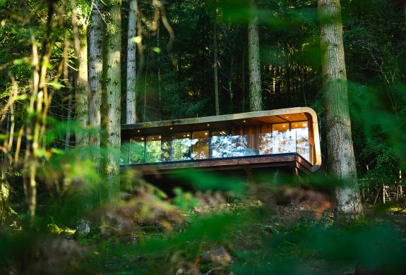 Forest lodge at zip world north wales