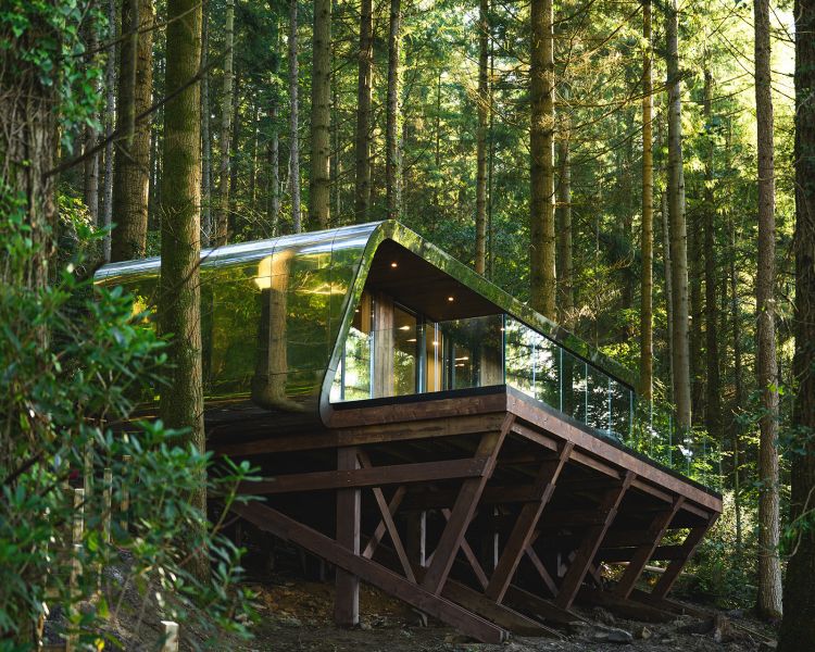 The forest lodge nestled in the woodland in north wales
