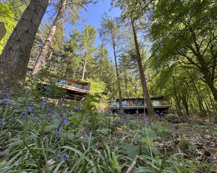 Two forest lodges on hillside in north wales