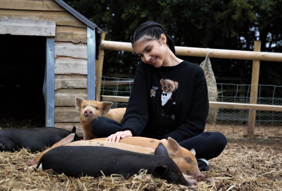 Young woman stroking sleeping piglets on farm
