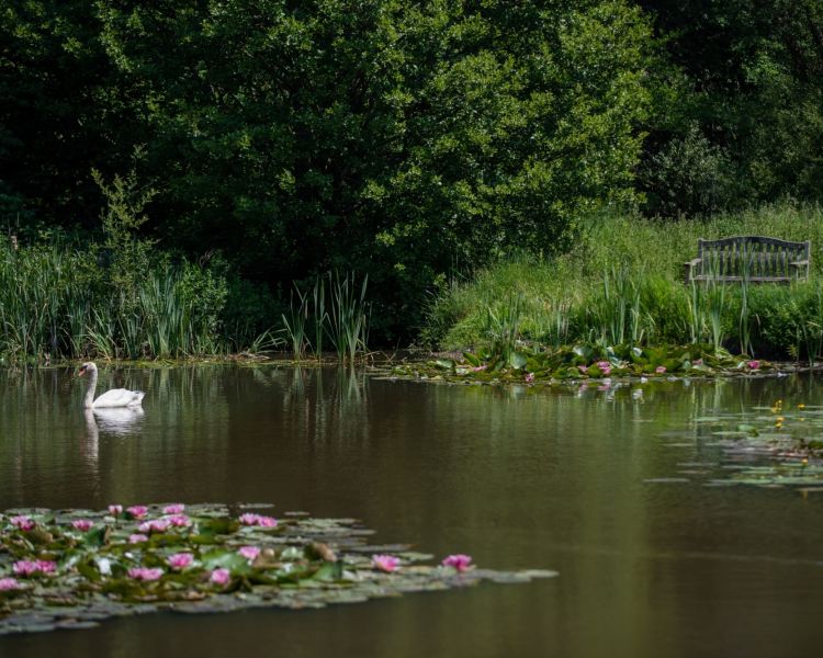 the lake at back of beyond glamping in dorset