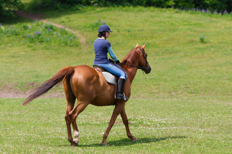 horse rider riding through a green field