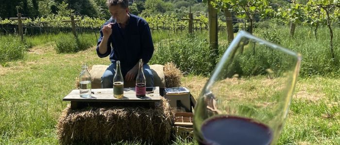 wine and cheese tour in somerset