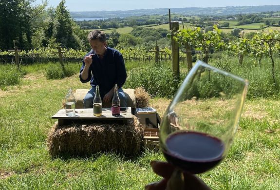 wine and cheese tour in somerset