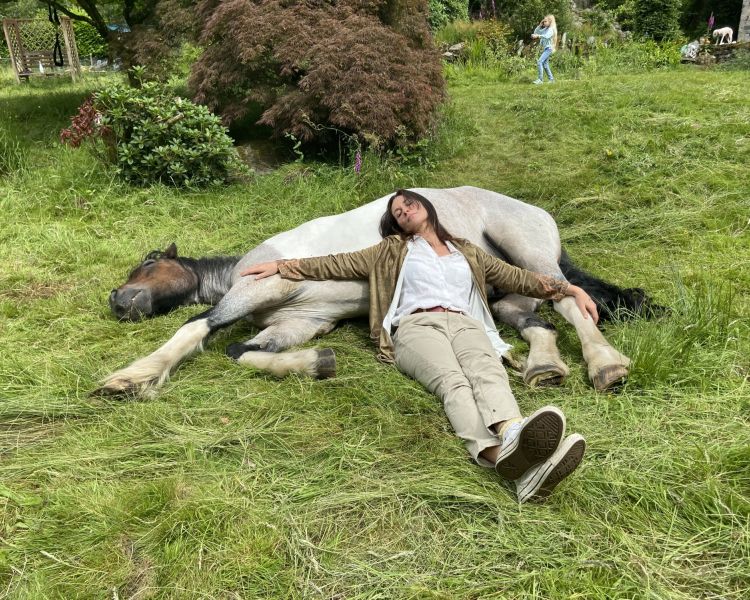 meditation with horses in the lake district