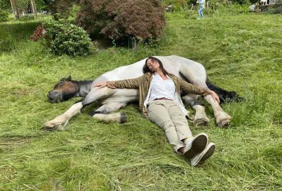 meditation with horses in the lake district