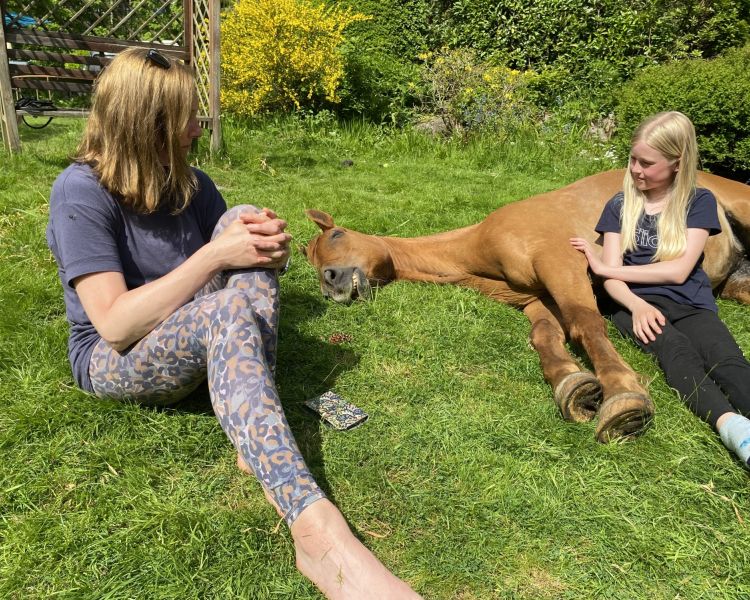 meditation with horses in the lake district