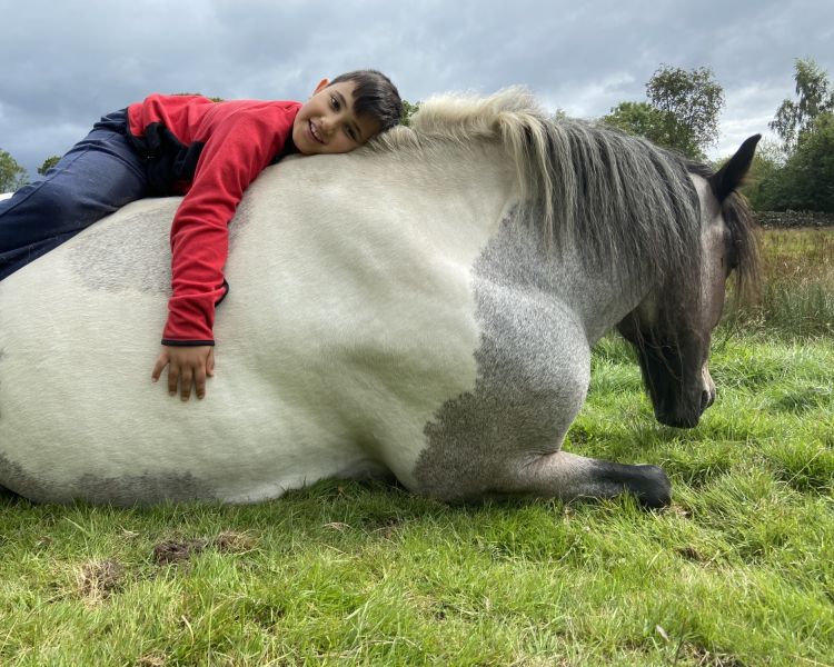 meditation with horses in the lake district