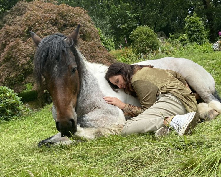 meditation with horses in the lake district