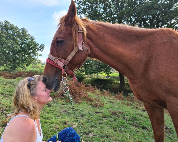 meditation with horses in the lake district