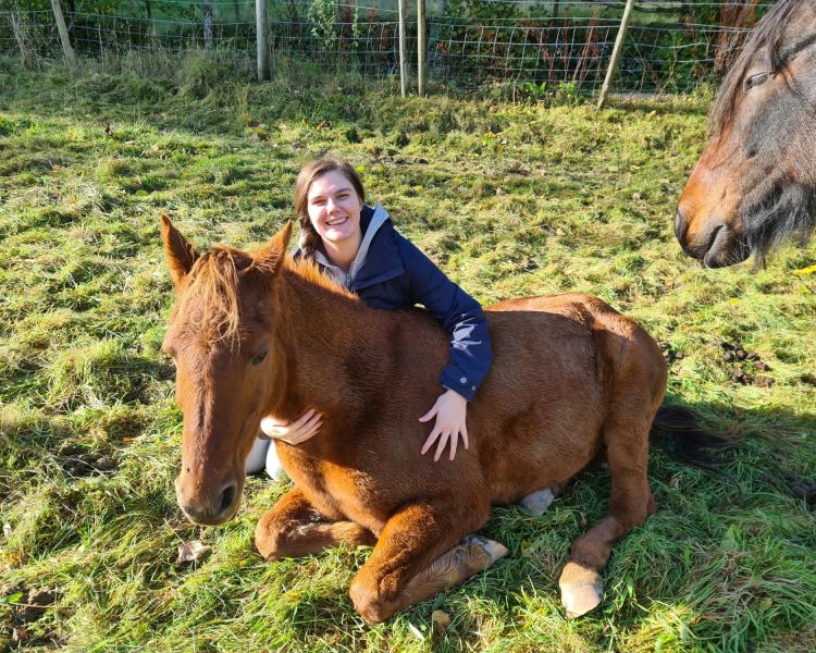 meditation with horses in the lake district