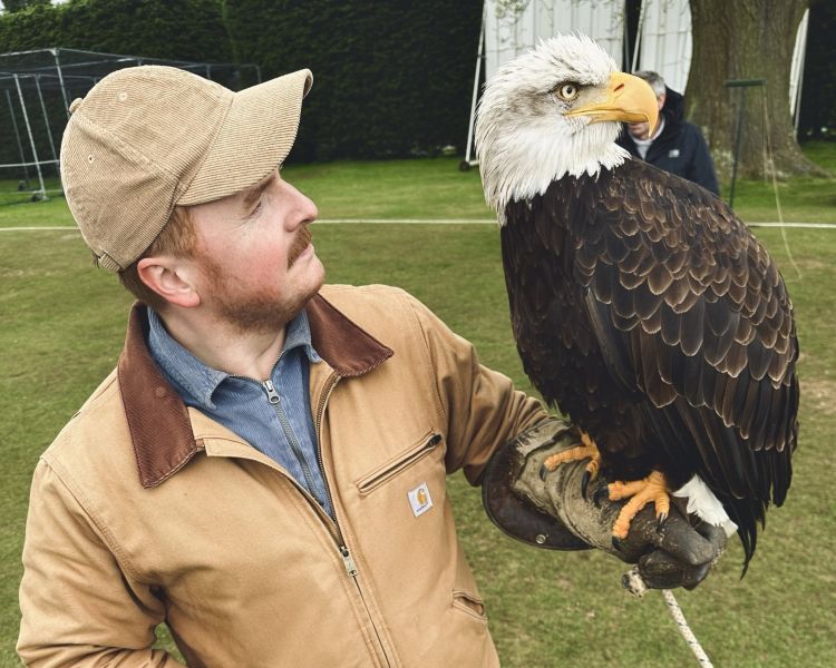 Falconry day out