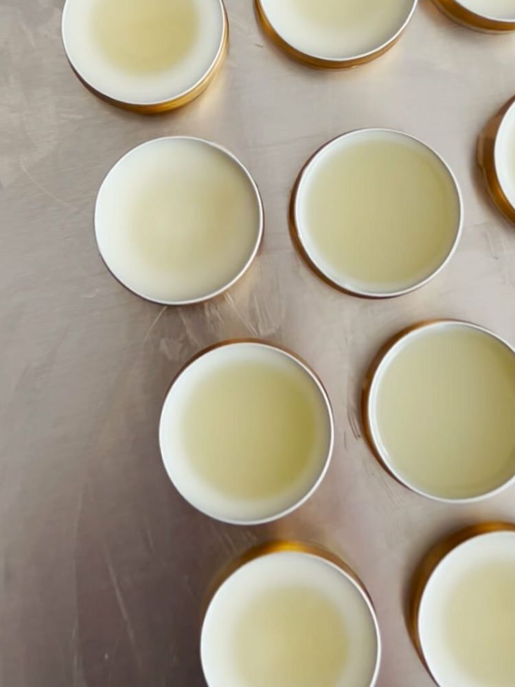 private vegan lip balm making workshop