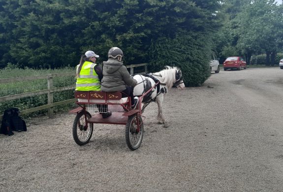 carriage driving experience