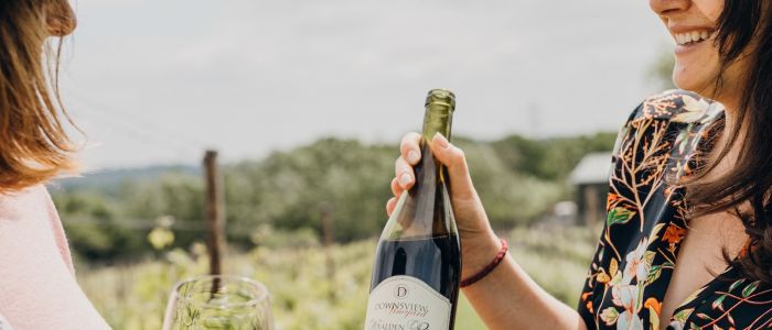 vineyard tour and wine tasting experience in sussex