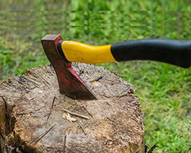 axe throwing experience