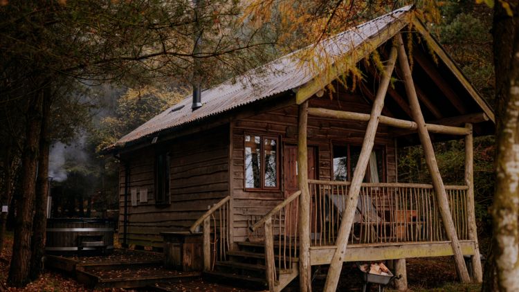 Tree lodge