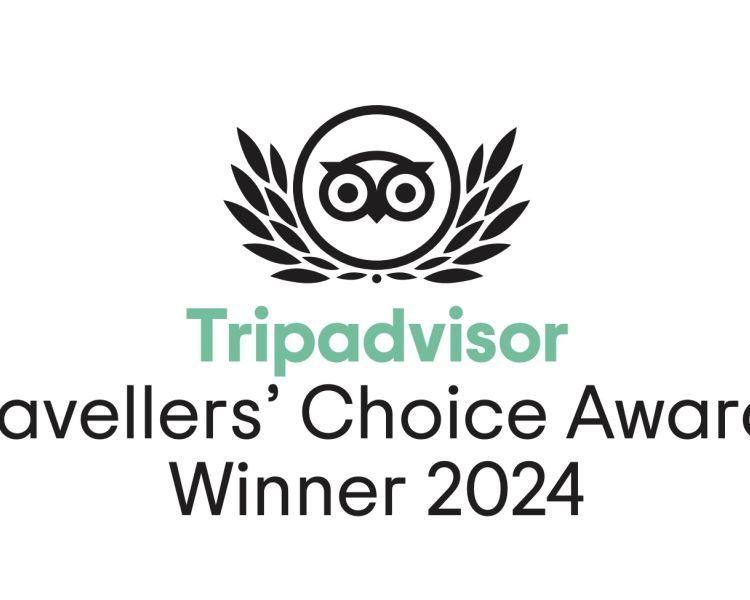land yachting tripadvisor travellers' choice awards winner 2024