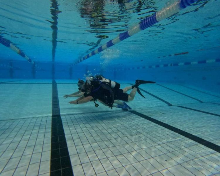 discover scuba diving experience