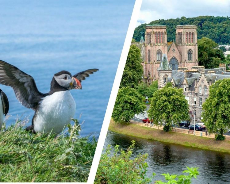 Inverness short break for two with moray coast puffins and speyside whisky coach tour