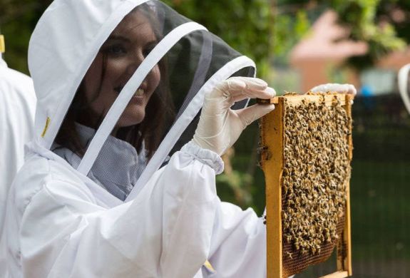 Beekeeping London