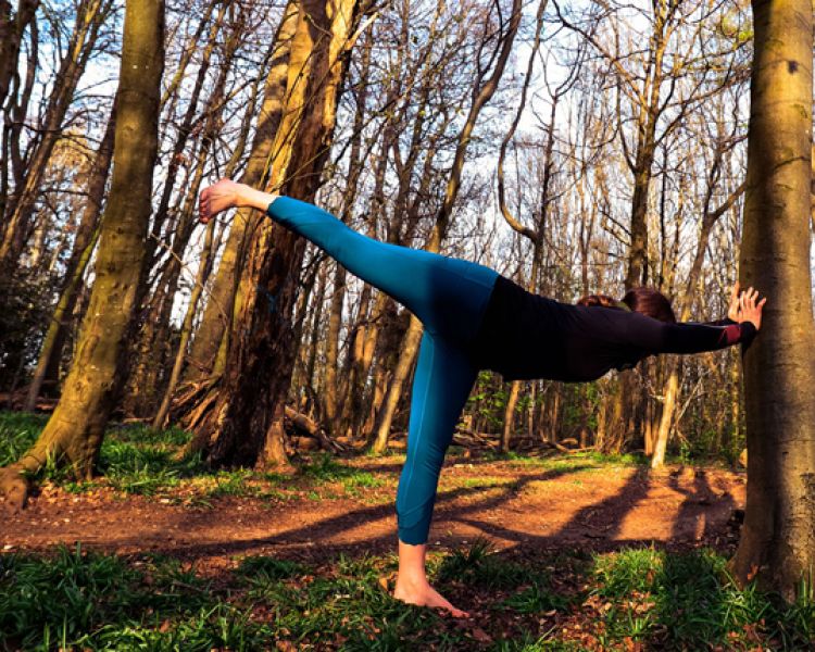 8 Outdoor yoga and Forest Bathing Brighton Stanmer Park Brighton Yoga