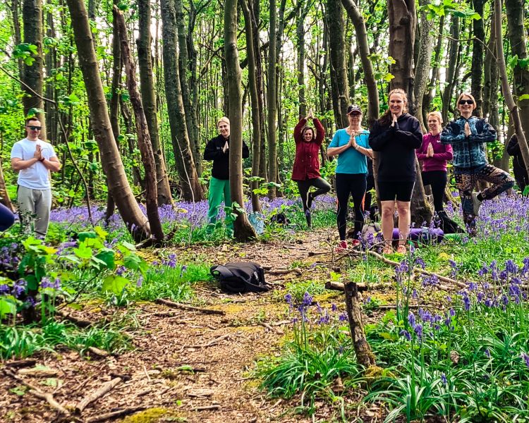 outdoor yoga and forest bathing experience