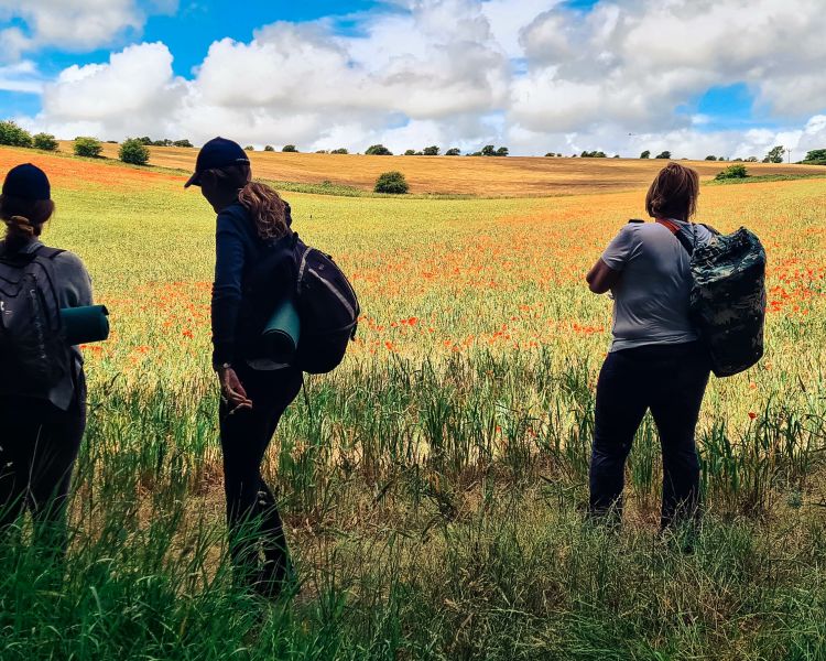 outdoor yoga and forest bathing experience